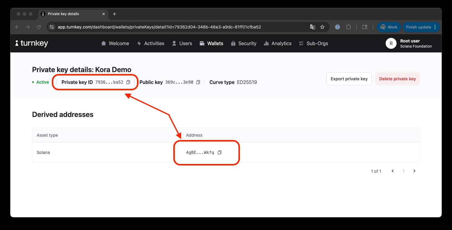 Turnkey Wallet Details